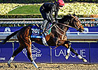 Mexikoma Spikes Fever, Still on Derby Trail Mexikoma Spikes Fever, Still on Derby Trail