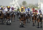Pair of Guineas Trials on Tap at Meydan Pair of Guineas Trials on Tap at Meydan