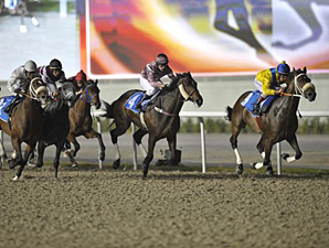 Presvis Set to Defend Title in Jebel Hatta Presvis Set to Defend Title in Jebel Hatta