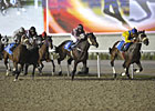Meydan Trials Held in Advance of Carnival Meydan Trials Held in Advance of Carnival
