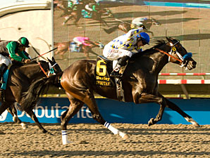 Darley Debutante: No Dream Trip for Mi Sueno Darley Debutante: No Dream Trip for Mi Sueno