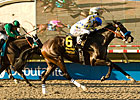 Darley Debutante: No Dream Trip for Mi Sueno