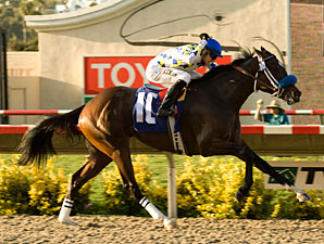 Mi Sueno Scores an Upset in the Sorrento Mi Sueno Scores an Upset in the Sorrento