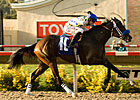 Mi Sueno Scores an Upset in the Sorrento