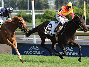 Miami Deco (65-1) Lights Up Breeders' Stakes Miami Deco (65-1) Lights Up Breeders' Stakes