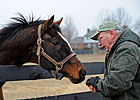 'Hats Off to the Horses' Bidding Underway 'Hats Off to the Horses' Bidding Underway