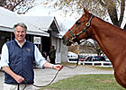 Yoshida Acquires Half Sister to Zazu Yoshida Acquires Half Sister to Zazu