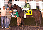 Apprentice Ritvo Wins With First Laurel Mount Apprentice Ritvo Wins With First Laurel Mount