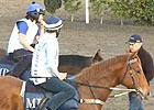 Caulfield Cup: Mick Price