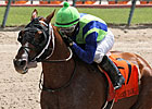 Mico Margarita Looks to Step Up in Aristides Mico Margarita Looks to Step Up in Aristides