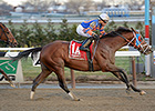 Micromanage Rallies to Win Queens County Micromanage Rallies to Win Queens County