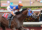 Micromanage Opens Season in Jazil Stakes Micromanage Opens Season in Jazil Stakes