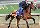 Midday 6-5 Choice to Repeat in F&M Turf