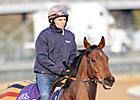 Back to Reality for Europeans at Churchill