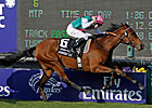 Filly Sarafina Favorite for BC Turf Filly Sarafina Favorite for BC Turf