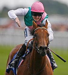 Midday Cruises in Dramatic Yorkshire Oaks Midday Cruises in Dramatic Yorkshire Oaks