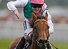 Midday Cruises in Dramatic Yorkshire Oaks