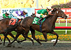 Midnight Lute Gets His First Stakes Winner Midnight Lute Gets His First Stakes Winner