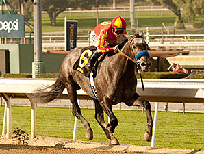 Sham Stakes: Midnight Hawk Soars Over Kristo Sham Stakes: Midnight Hawk Soars Over Kristo