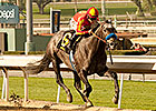 Sham Stakes: Midnight Hawk Soars Over Kristo Sham Stakes: Midnight Hawk Soars Over Kristo