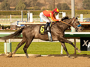 Midnight Hawk: A Mating of Two Sprinters? Midnight Hawk: A Mating of Two Sprinters?