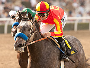 Midnight Hawk One to Beat in Robert B. Lewis Midnight Hawk One to Beat in Robert B. Lewis