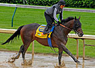 Midnight Interlude Cruises Through the Slop