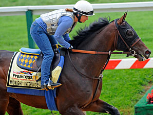 Midnight Interlude Tries Turf for Baffert Midnight Interlude Tries Turf for Baffert