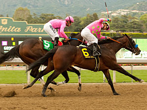 Midnight Interlude is Late-Hour Derby Hopeful Midnight Interlude is Late-Hour Derby Hopeful
