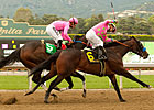 Midnight Interlude is Late-Hour Derby Hopeful