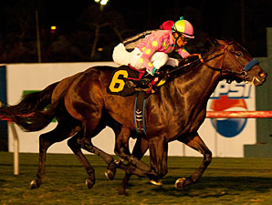 Turf Beckons Midnight Interlude in La Jolla Turf Beckons Midnight Interlude in La Jolla