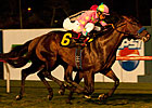 Turf Beckons Midnight Interlude in La Jolla Turf Beckons Midnight Interlude in La Jolla