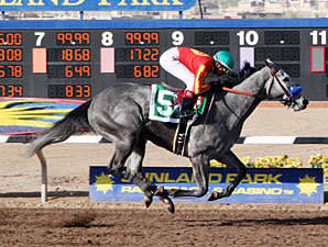 Midnight Lucky Looks Mighty in Sunland Oaks Midnight Lucky Looks Mighty in Sunland Oaks