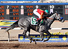 Midnight Lucky Looks Mighty in Sunland Oaks