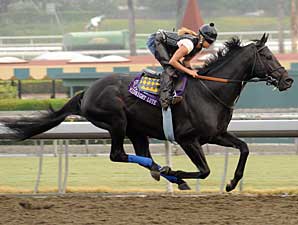 Baffert Hopes for Big BC with Trio Baffert Hopes for Big BC with Trio