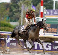 Full Moon Fever: Midnight Lute Last to First in Sprint Full Moon Fever: Midnight Lute Last to First in Sprint