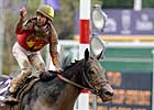 Full Moon Fever: Midnight Lute Last to First in Sprint Full Moon Fever: Midnight Lute Last to First in Sprint