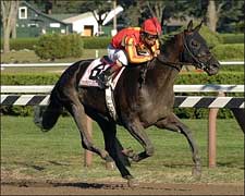 Baffert Strums Winning Tune With Midnight Lute Baffert Strums Winning Tune With Midnight Lute