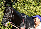 Champion Midnight Lute Sires First Foal Champion Midnight Lute Sires First Foal