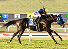 Midnight Storm Shakes Up Del Mar Derby Midnight Storm Shakes Up Del Mar Derby