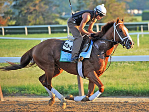 Midnight Taboo to Scratch From Indiana Derby Midnight Taboo to Scratch From Indiana Derby