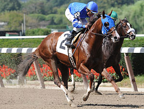 Midshipman Impressive in Return Midshipman Impressive in Return
