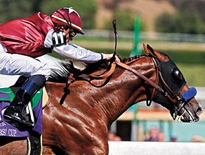Blue Grass Draws 183 Nominations Blue Grass Draws 183 Nominations