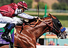 Blue Grass Draws 183 Nominations Blue Grass Draws 183 Nominations