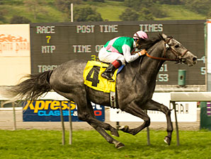 San Luis Rey: Clear Sailing for Midships San Luis Rey: Clear Sailing for Midships