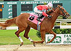 OBS Hosts 'Day of Champions' Races Jan. 21 OBS Hosts 'Day of Champions' Races Jan. 21