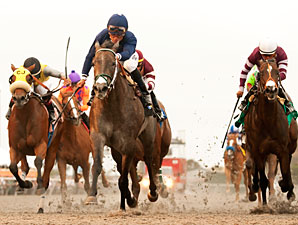 Mighty Caroline Wins Sorrento in Graded Debut Mighty Caroline Wins Sorrento in Graded Debut