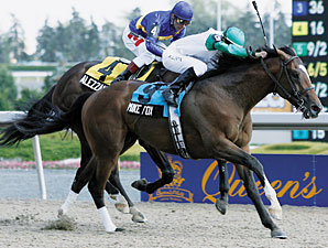 Queen's Plate Winner Mike Fox Retired Queen's Plate Winner Mike Fox Retired