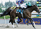 Queen's Plate Winner Mike Fox Retired Queen's Plate Winner Mike Fox Retired
