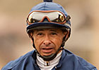 Mike Smith Arrested for Drunk Driving Mike Smith Arrested for Drunk Driving